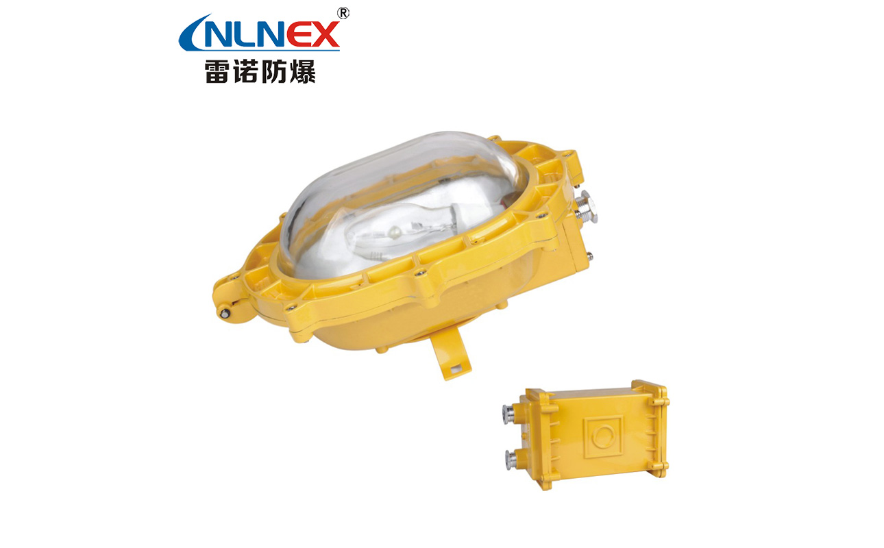 BFE8120 內(nèi)場(chǎng)強(qiáng)光防爆應(yīng)急燈